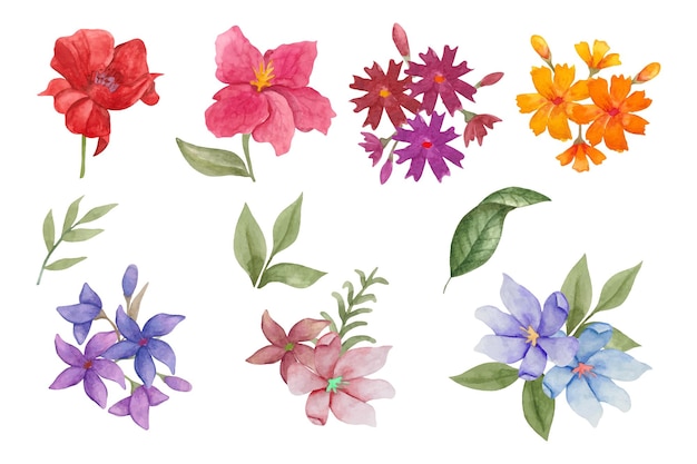 Set of watercolor flower and leaves collection for bouquet design