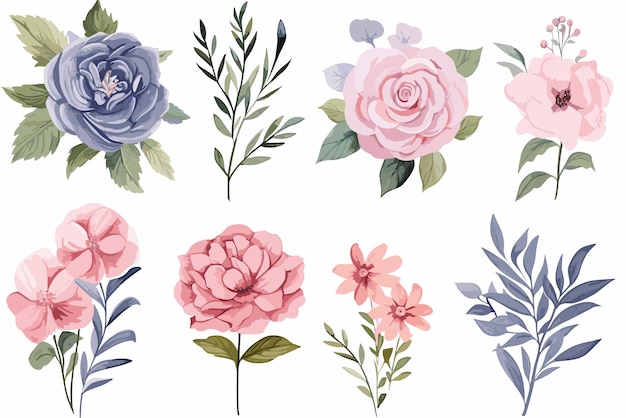 Set watercolor flower