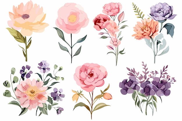 Set di fiori ad acquerello