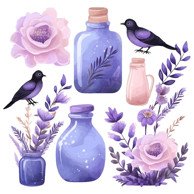 Vector set of watercolor flowers bird jar lavender plant leaves isolated on white background organic natur