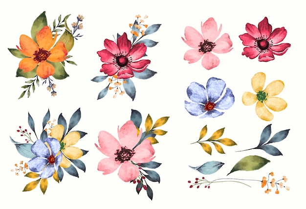 Vector set of watercolor flowers and leaves isolated clipart