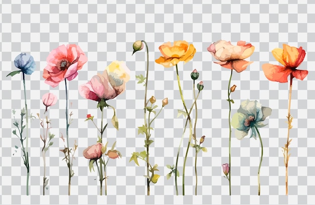 Vector a set of watercolor flowers on a transparent background.