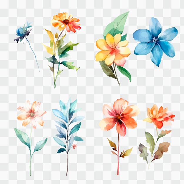 A set of watercolor flowers on a transparent background