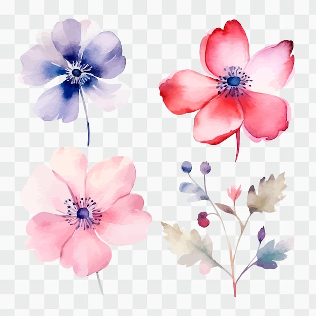 A set of watercolor flowers on a transparent background