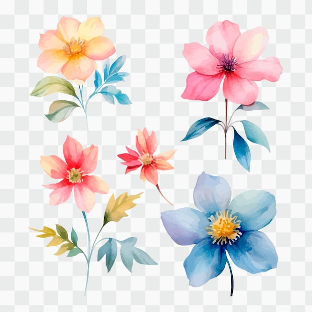 A set of watercolor flowers on a transparent background.