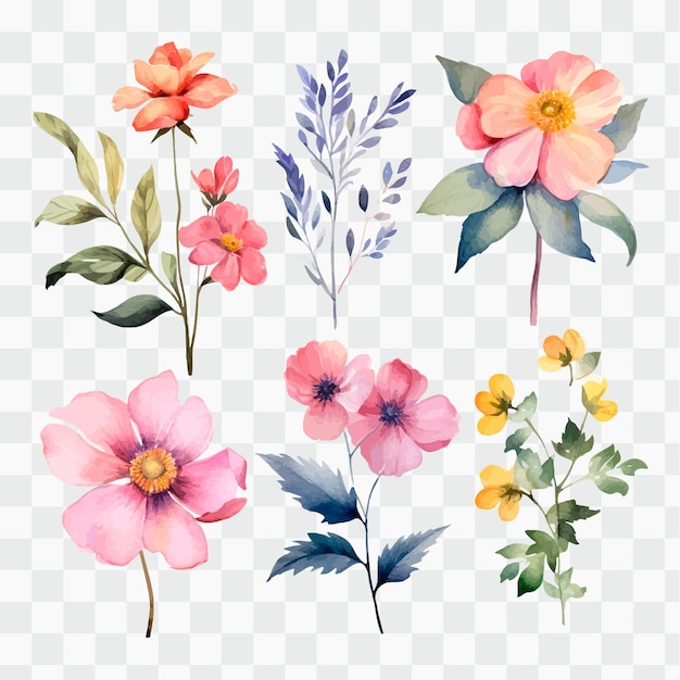 A set of watercolor flowers on a transparent background