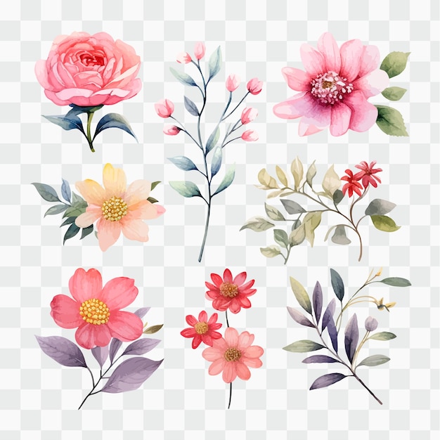 A set of watercolor flowers on a transparent background.