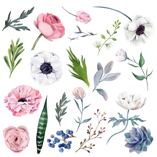 Set of watercolor flowers with leaves illustration design