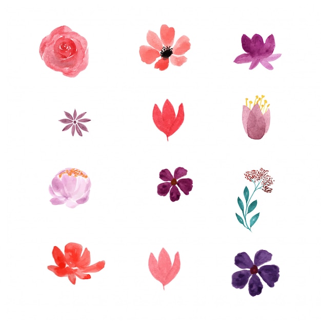 Vector set of watercolor flowers