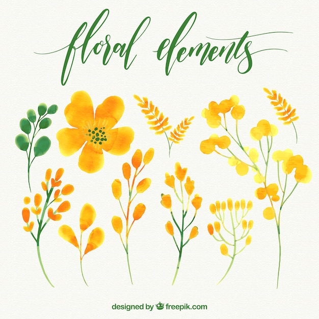 Vector set of watercolor flowers