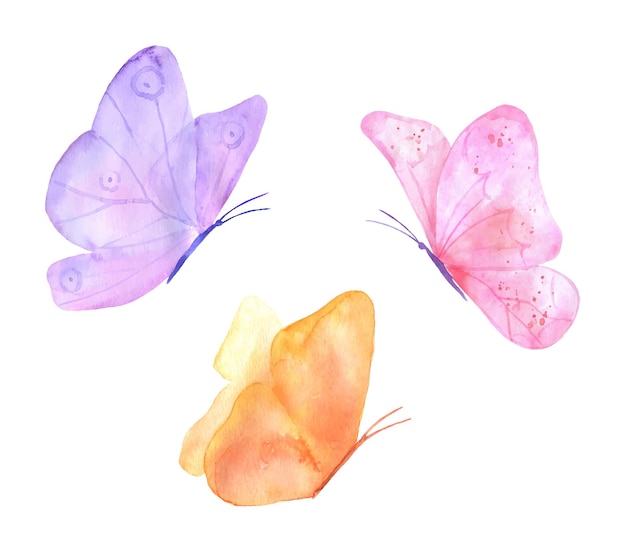 Set of watercolor flying butterfly isolated on white background purple hand painted illustrationx9