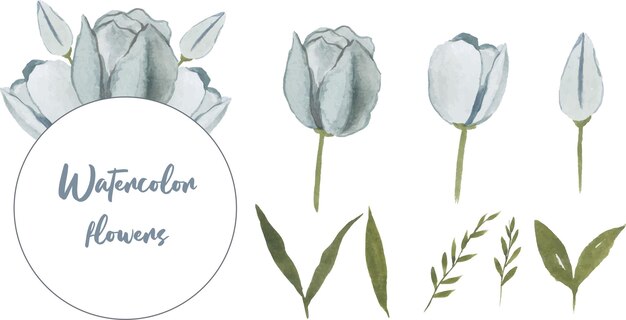 Vector set of watercolor foliage hand drawn leaves and flowers with bouquet elements isolated