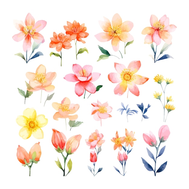 Set of watercolor fool foot flowers clipart