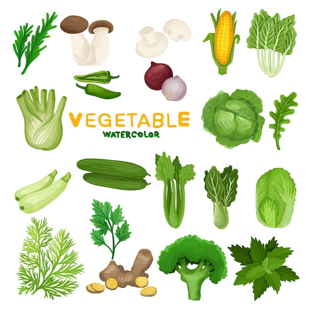 Vector set of watercolor fresh vegetable clipart