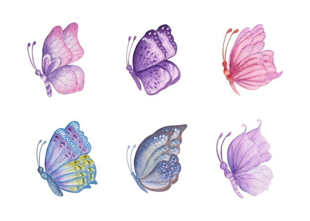 Set of watercolor hand painted colorful butterflies