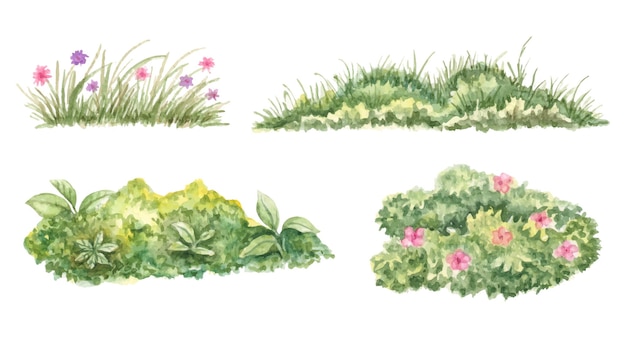 Set of watercolor hand painted green grass collection