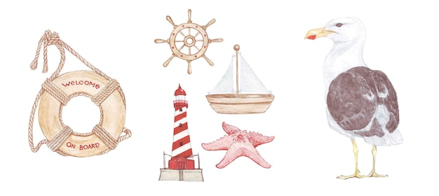 Set of watercolor illustrations on a marine theme lifebuoy seagull starfish