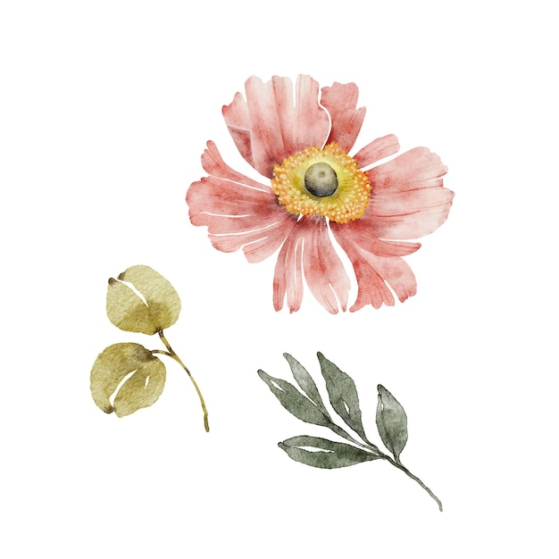 set of watercolor illustrations pink flower and green leaves on a white background