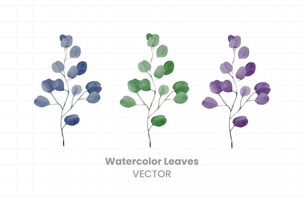Set of watercolor leaves on a white background