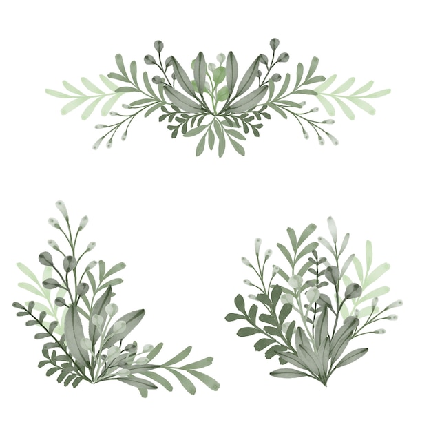 set of watercolor  leaves