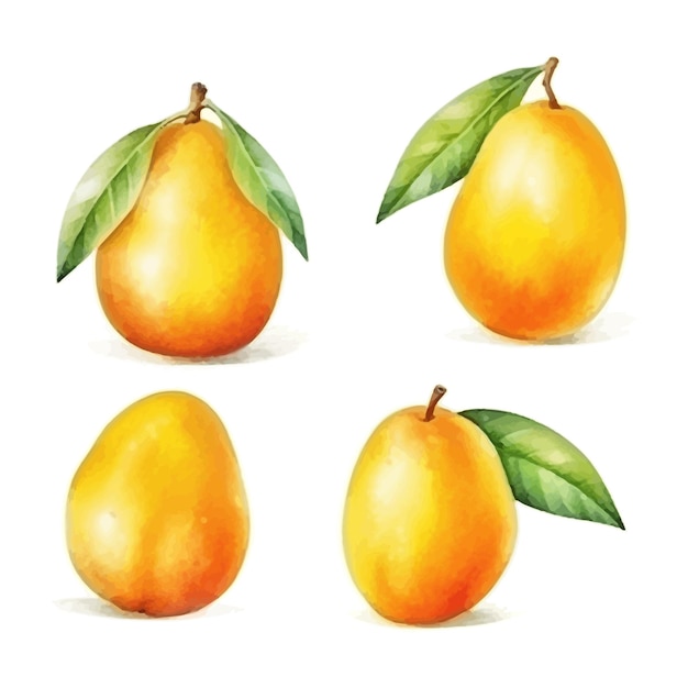 Set di sfondo bianco clipart acquerello mango