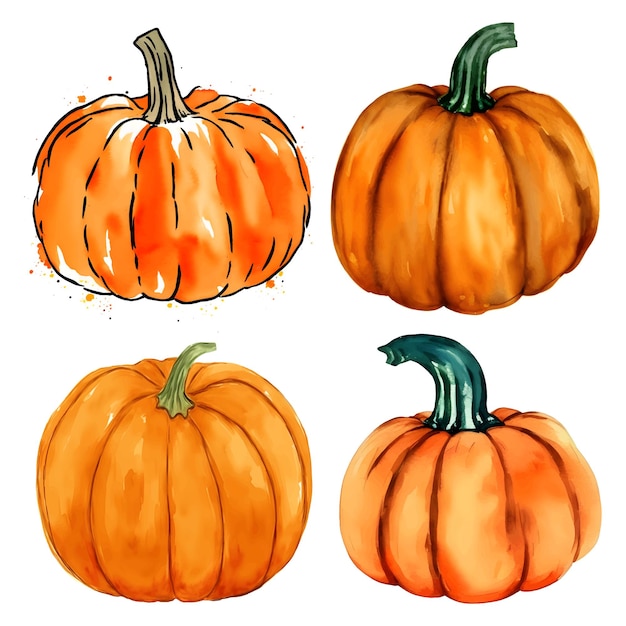 Set of watercolor orange pumpkins isolated on white Decor for halloween