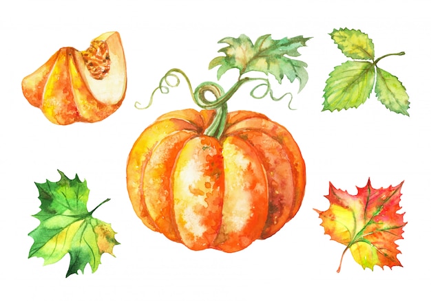 Set of watercolor pumpkin and autumn leaves.