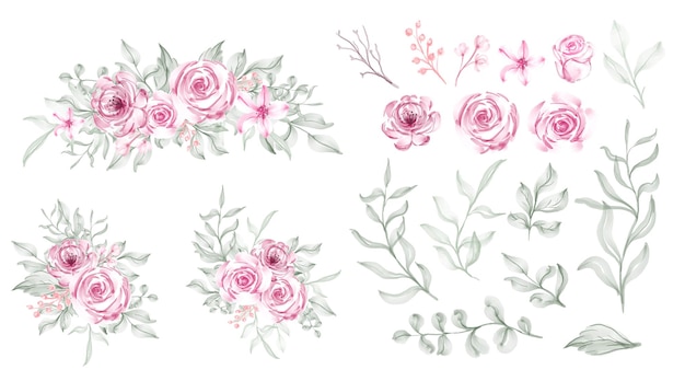 Set of watercolor roses pink petal green leaf and wild flower