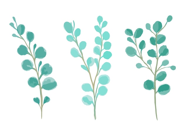 Vector a set of watercolor sprigs of roundleaved green eucalyptus