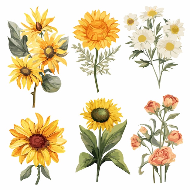 Vector set watercolor sunflowers for wedding