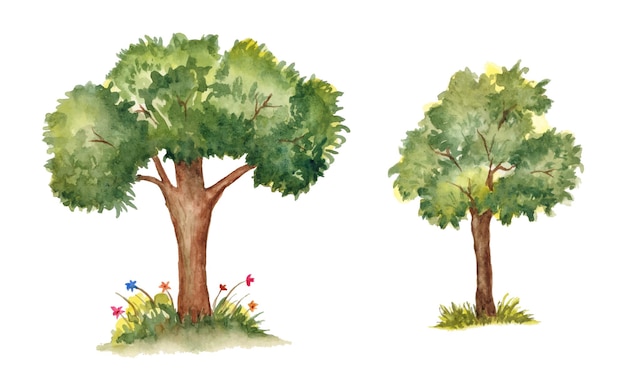 Set of watercolor tree collection