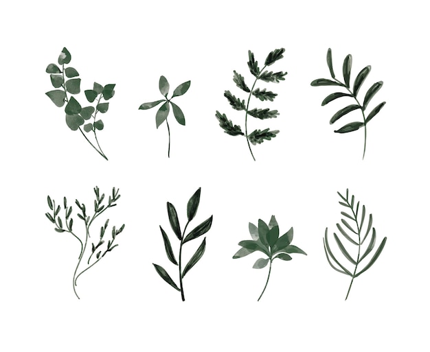 Vector set of watercolor twigs and leaf