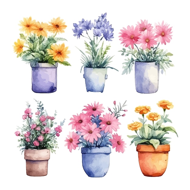 Set of watercolor various flowers in a flowerpot