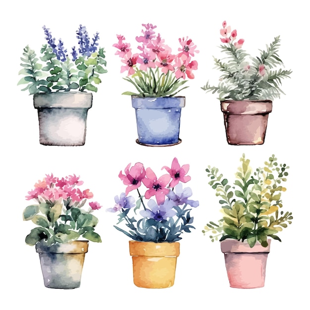 Set of watercolor various flowers in a flowerpot