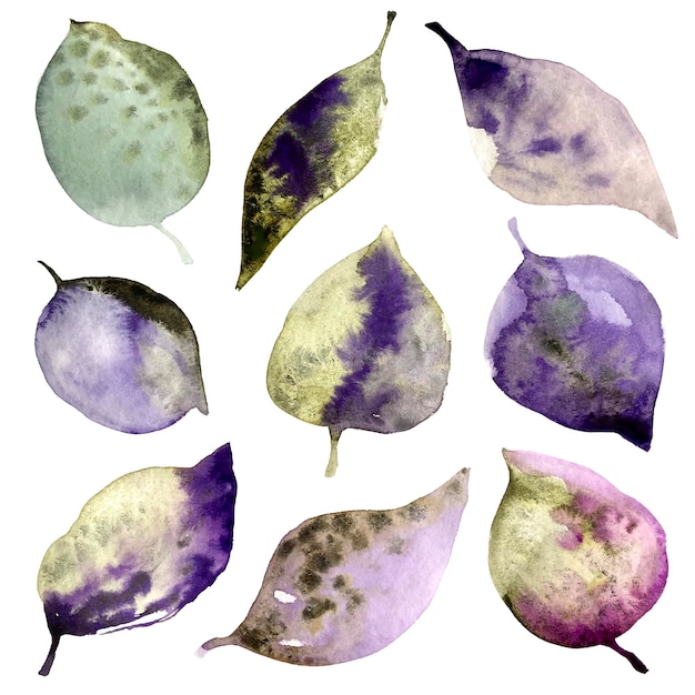 Vector set of watercolor vector beautiful leaves isolated on white background