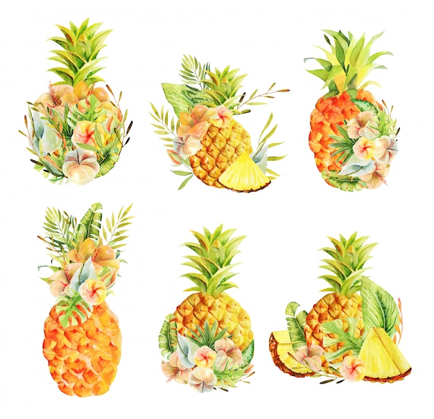 Set di ananas intero acquerello e fiori affettati, esotici e foglie tropicali