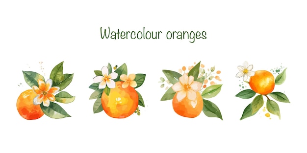 Vector set of watercolour oranges with flowers vector stickers for notebook isolated