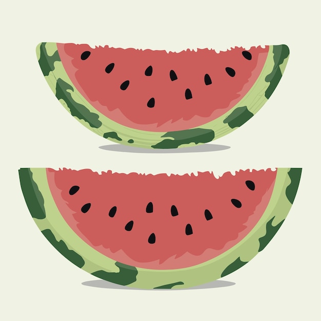 Set of watermelon vector