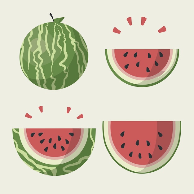 Set of watermelon vector