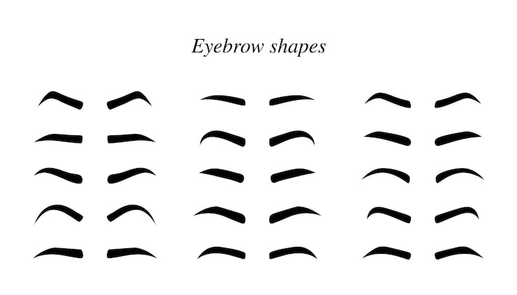 Vector set wenkbrauwen vorm. wenkbrauwen vormen. verschillende soorten wenkbrauwen. make-up tips. wenkbrauwen shapen voor dames. klassiek type en verschillende dikte van de wenkbrauwen.