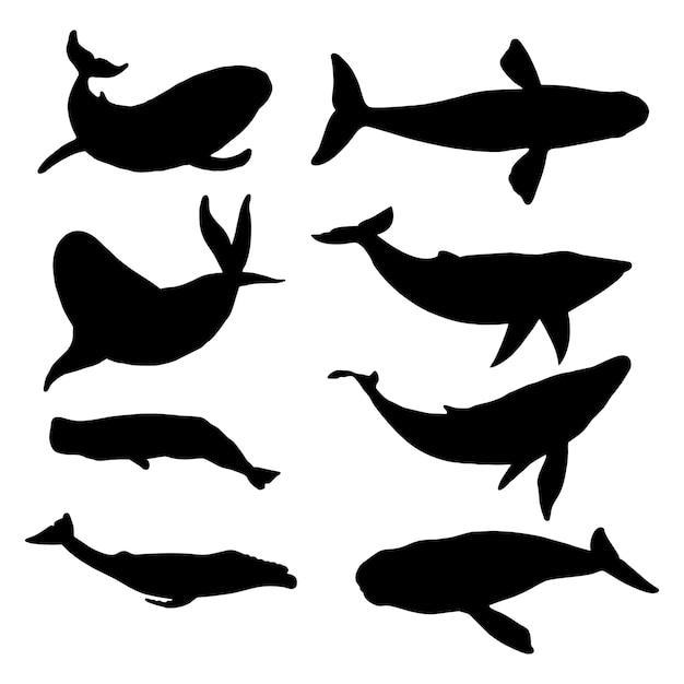 Set of whale silhouette vector isolated on white background