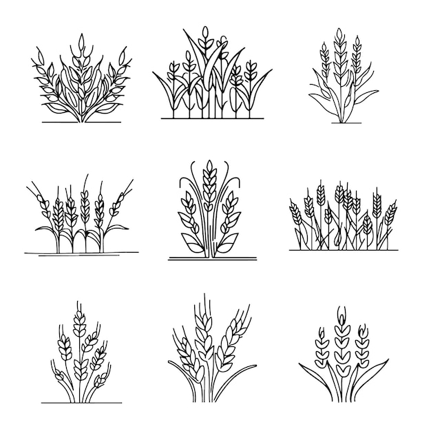 Vettore un insieme di piante di grano con il numero 1 in alto.