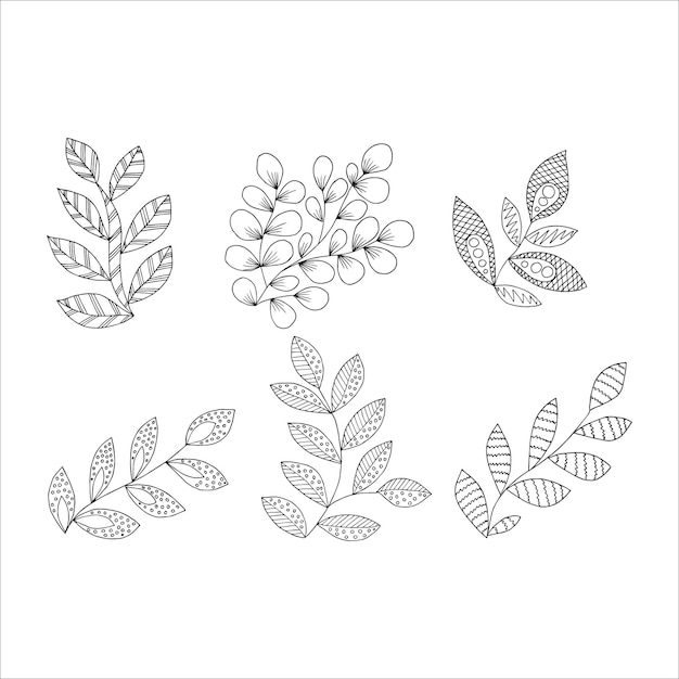 Set di ramoscelli stravaganti con foglie disegnate a mano doodle elemento libro da colorare per bambini e adulti