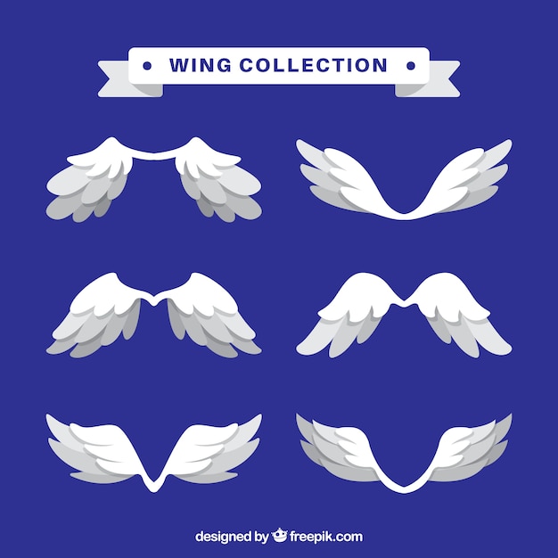 Vector set of white wings