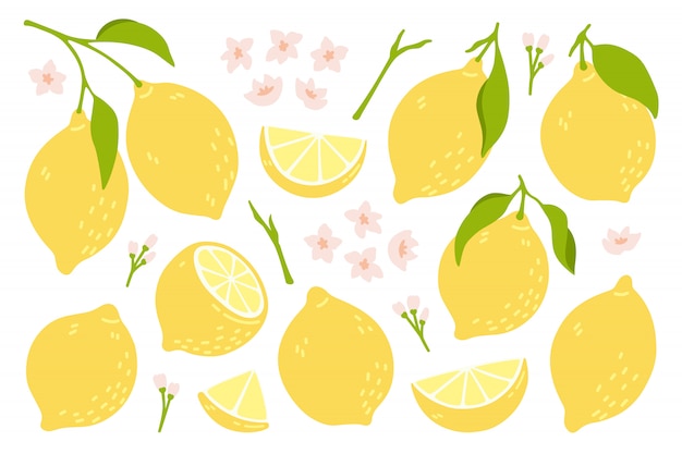 Vector set of whole, cut in half, sliced on pieces fresh lemons .
citrus fruit collection with lemon peel, flowers and leaves in hand drawn style. vector illustration isolated on white background.