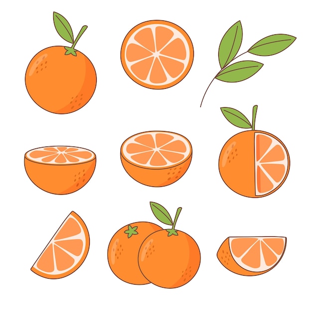 Set of whole and cutted oranges