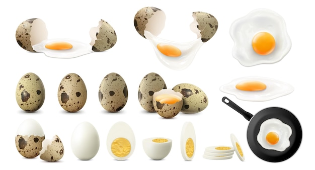 Set of whole half sliced and broken spotted quail eggs Raw fried and boiled eggs isolated on white background Crack eggs with yolks Fried eggs on frying pan Realistic 3d vector