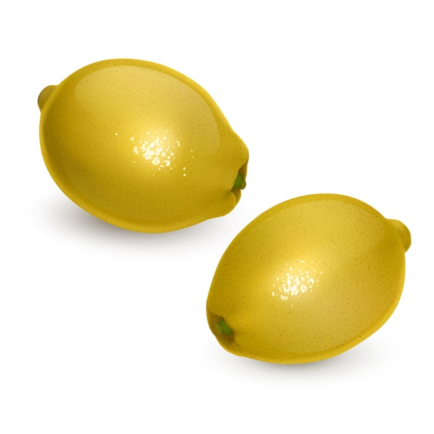 Vector set of whole and juicy lemons in realistic style