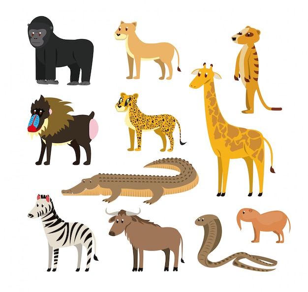 Vector set of wild african animals