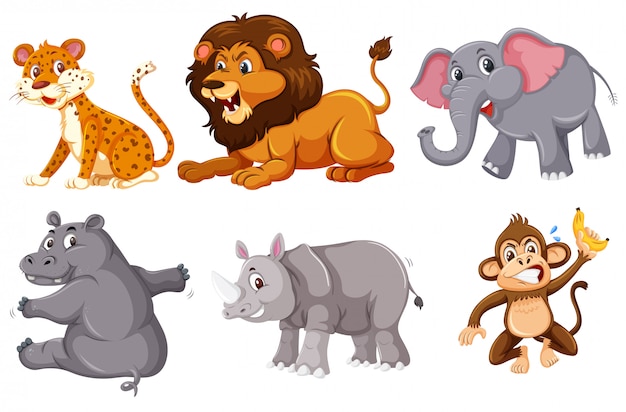 A set of wild animals on white background